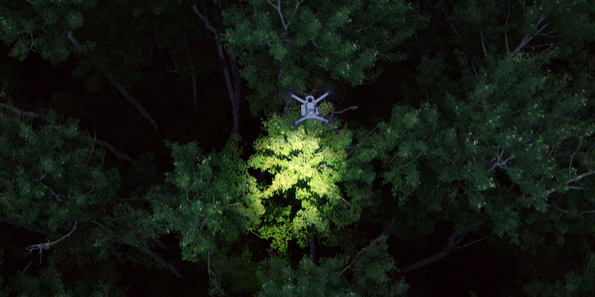 Matrice 5TD beleuchtet bei Nacht ein Waldstück