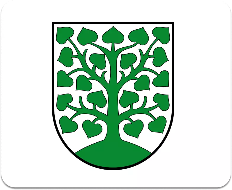 Stadt Homburg im Saarland logo
